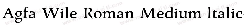 Agfa Wile Roman Medium ltalic字体转换